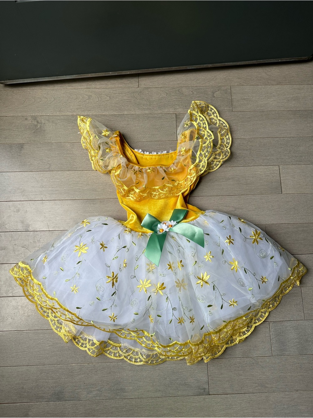 Girls Kids Revolution Ballot Ballroom Formal Yellow Dancing Costume Dress 5T